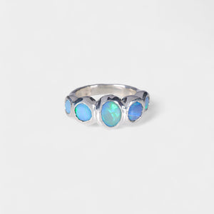 Diatom Ring