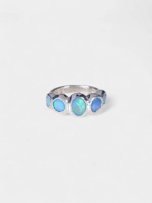 Diatom Ring