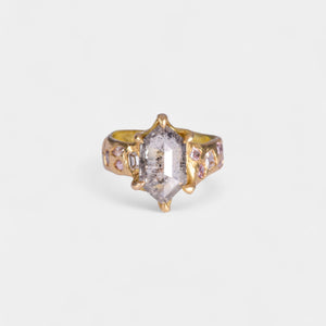 Ice Queen Ring
solid 18 karat yellow gold
~ 2.97 carat hexagon cut salt & pepper diamond
~ twelve mixed cut melee white and grey diamonds for a carat weight of 1.1