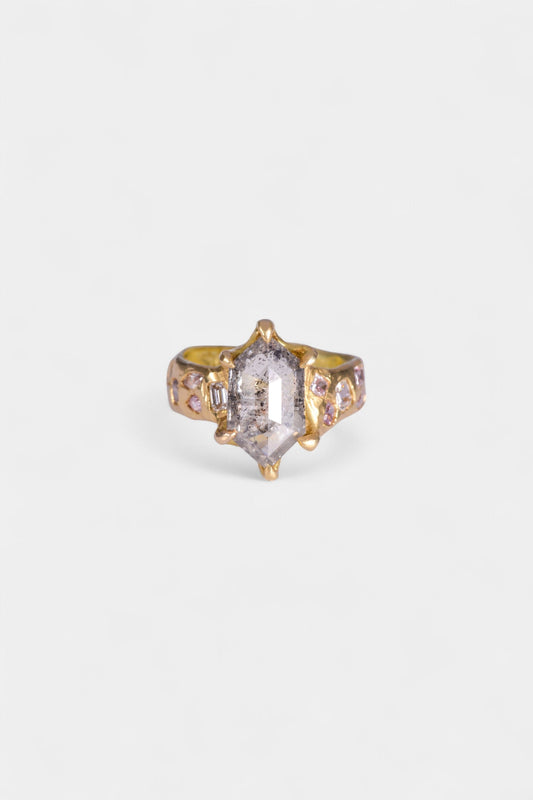 Ice Queen Ring
solid 18 karat yellow gold
~ 2.97 carat hexagon cut salt & pepper diamond
~ twelve mixed cut melee white and grey diamonds for a carat weight of 1.1